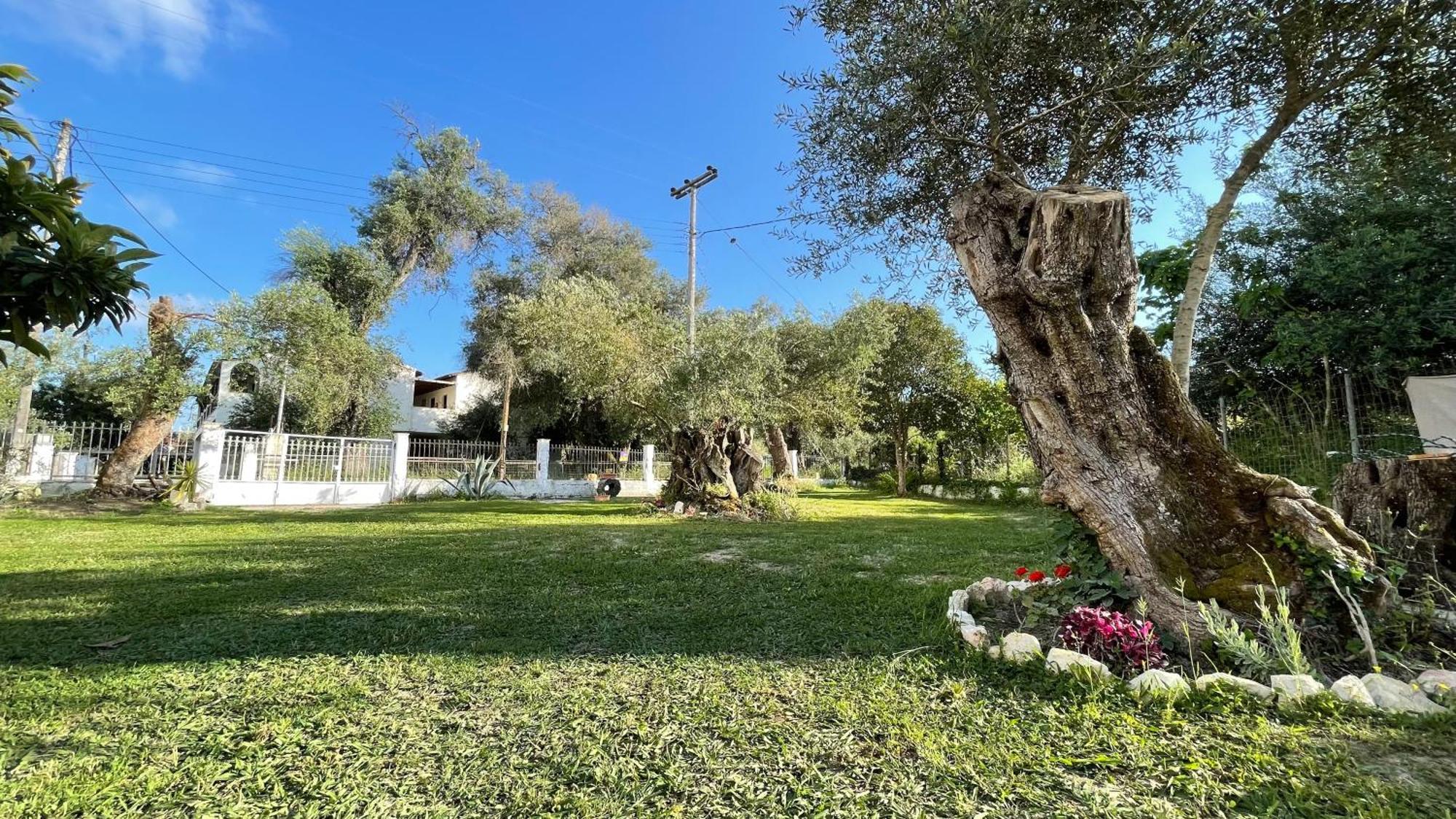 Kavos Aparthotel ภายนอก รูปภาพ